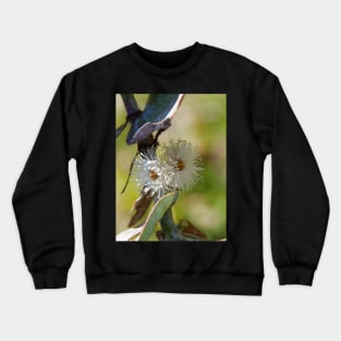 Silver Dollar Gum Flowers Crewneck Sweatshirt